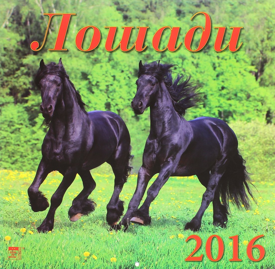 Иллюстрация 1 из 7 для Календарь настенный на 2016 год "Лошади" (70603) | Лабиринт - сувениры. Источник: Лабиринт