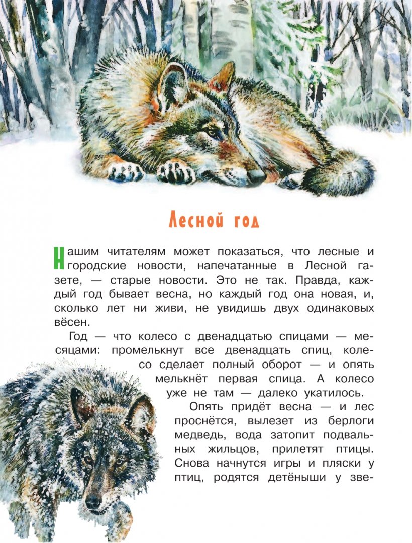 Иллюстрация 2 из 33 для Лесная газета - Виталий Бианки | Лабиринт - книги. Источник: Лабиринт