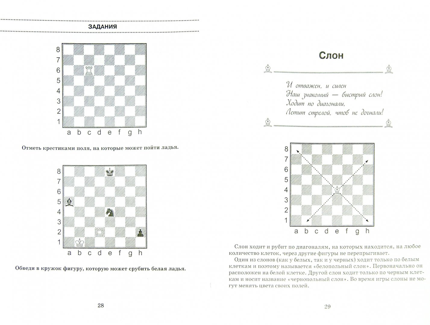 Иллюстрация 1 из 7 для Шахматная тетрадь-раскраска. Рисуем, учимся, играем - Антонина Трофимова | Лабиринт - книги. Источник: Лабиринт