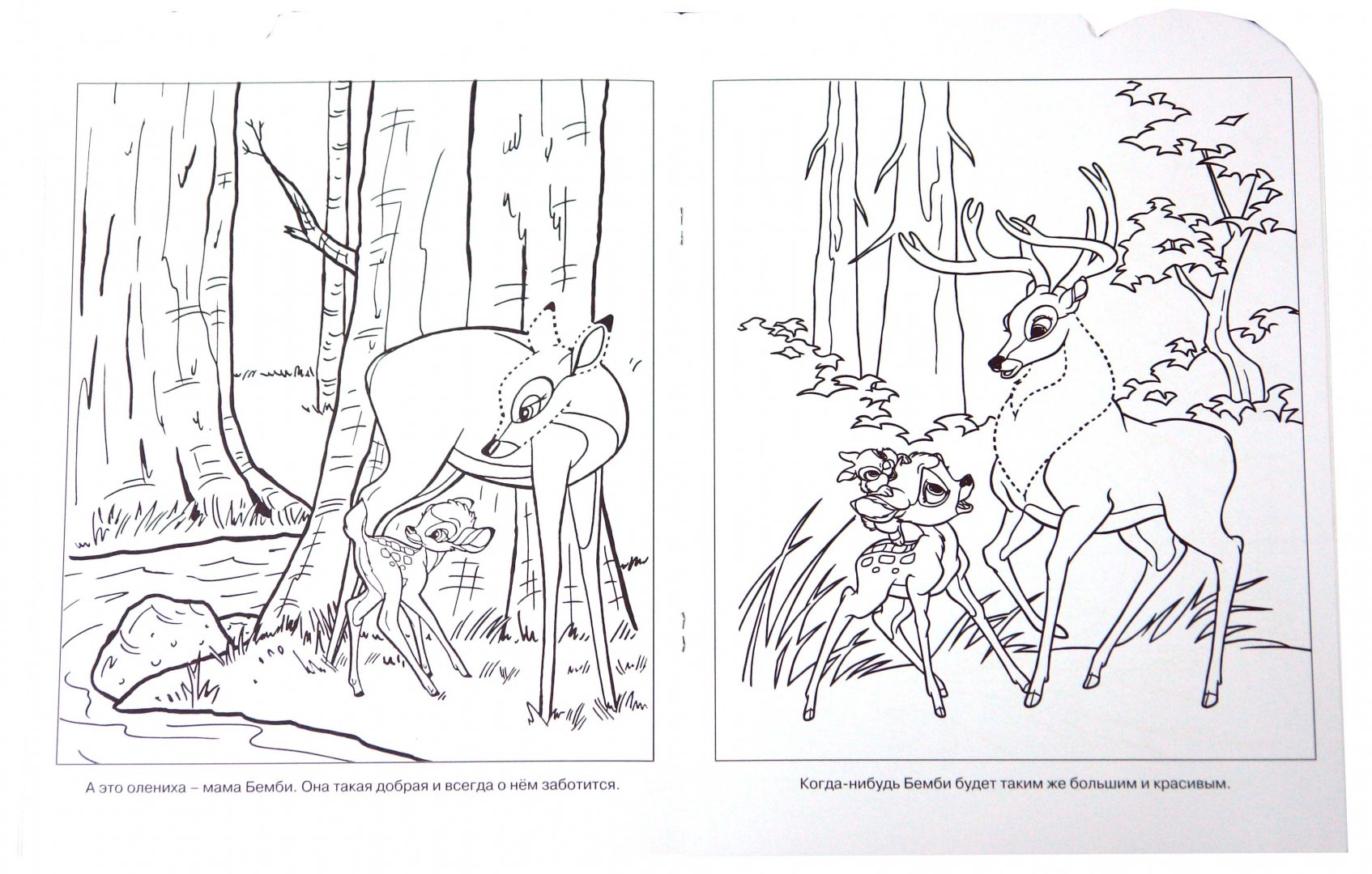 Иллюстрация 1 из 9 для Умная раскраска № 0802. Бемби | Лабиринт - книги. Источник: Лабиринт