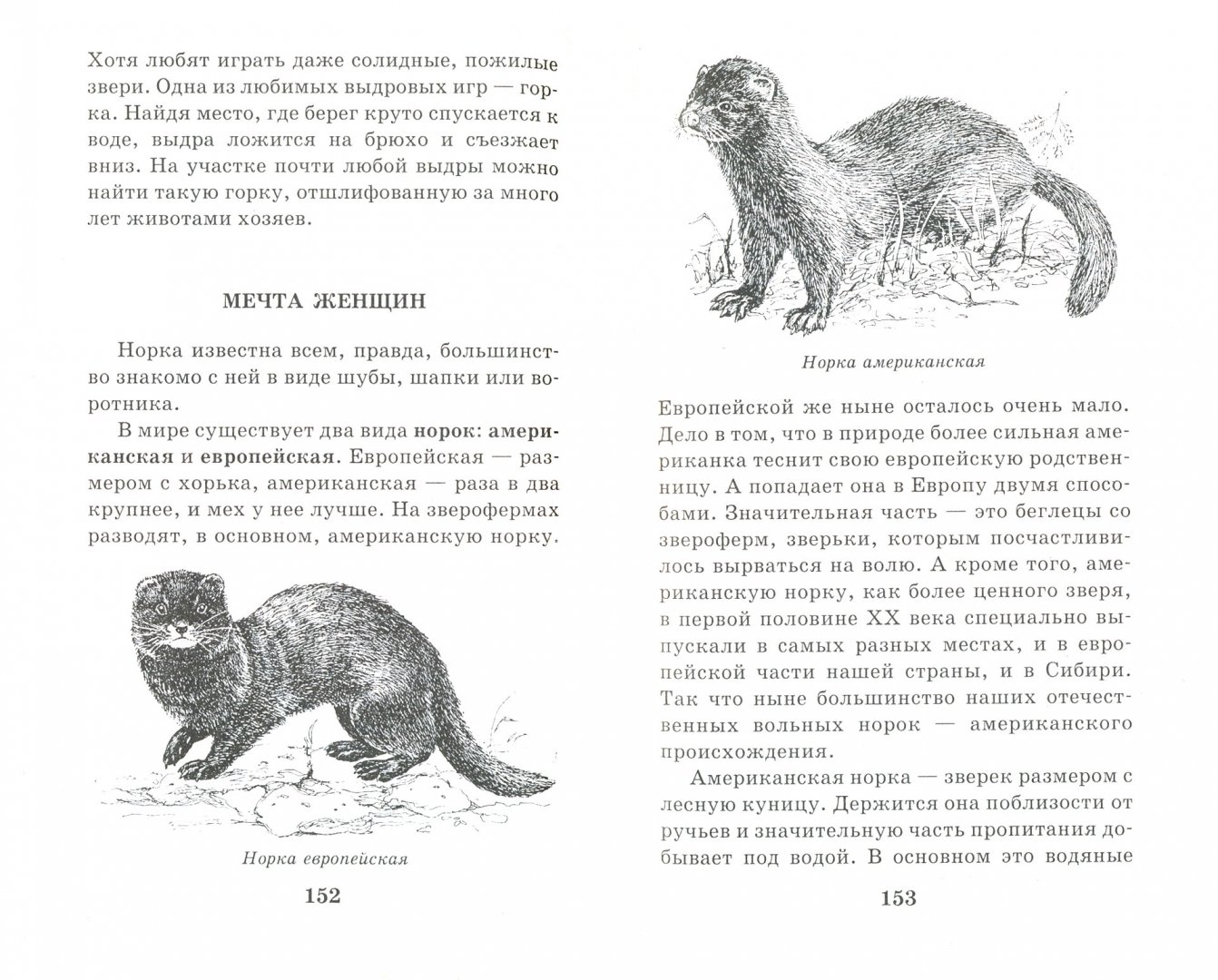 Иллюстрация 1 из 23 для Хищные животные - Алексей Целлариус | Лабиринт - книги. Источник: Лабиринт