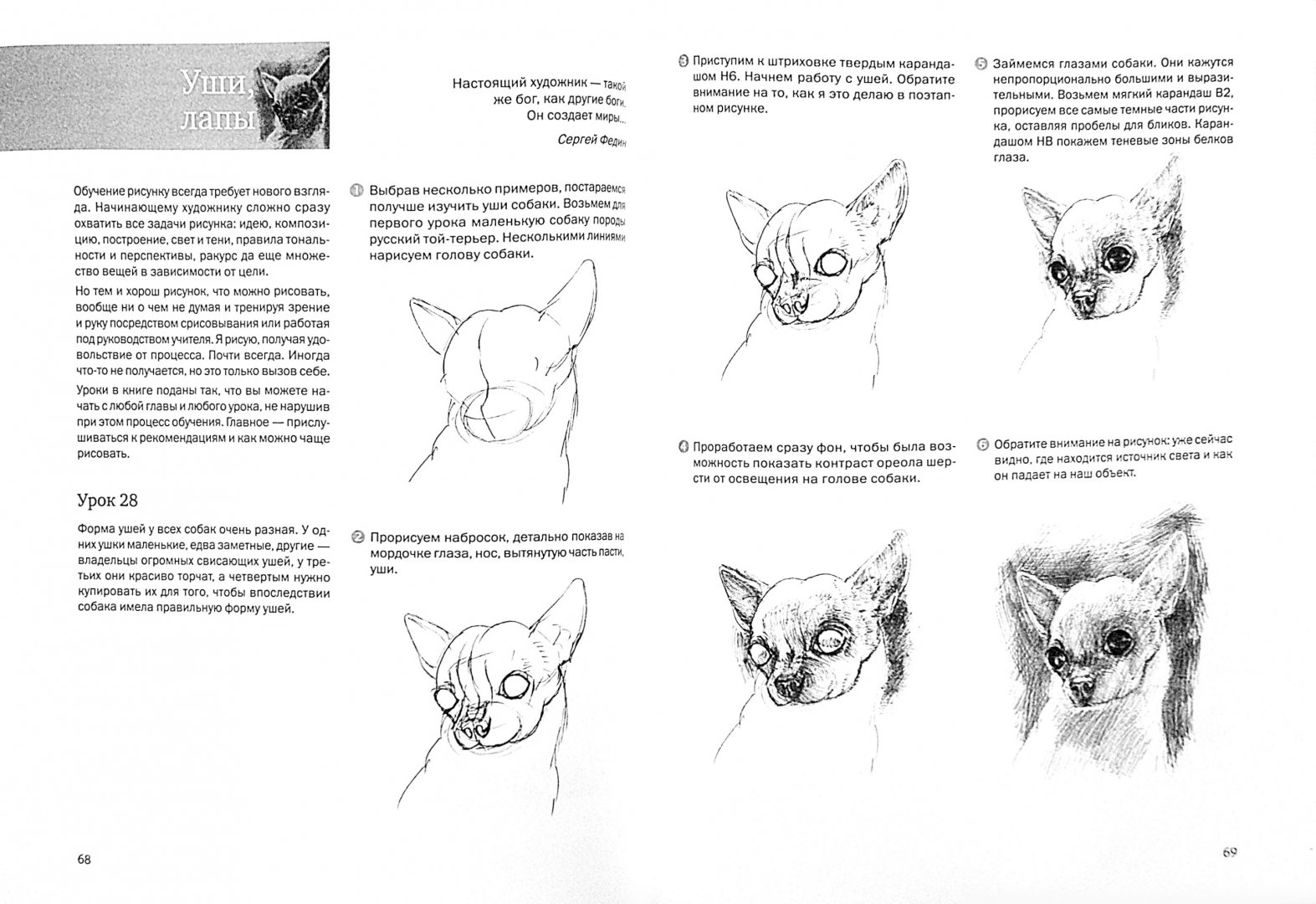 Иллюстрация 1 из 31 для Пошаговые уроки рисования. Рисуем кошек и собак - Виктория Мазовецкая | Лабиринт - книги. Источник: Лабиринт