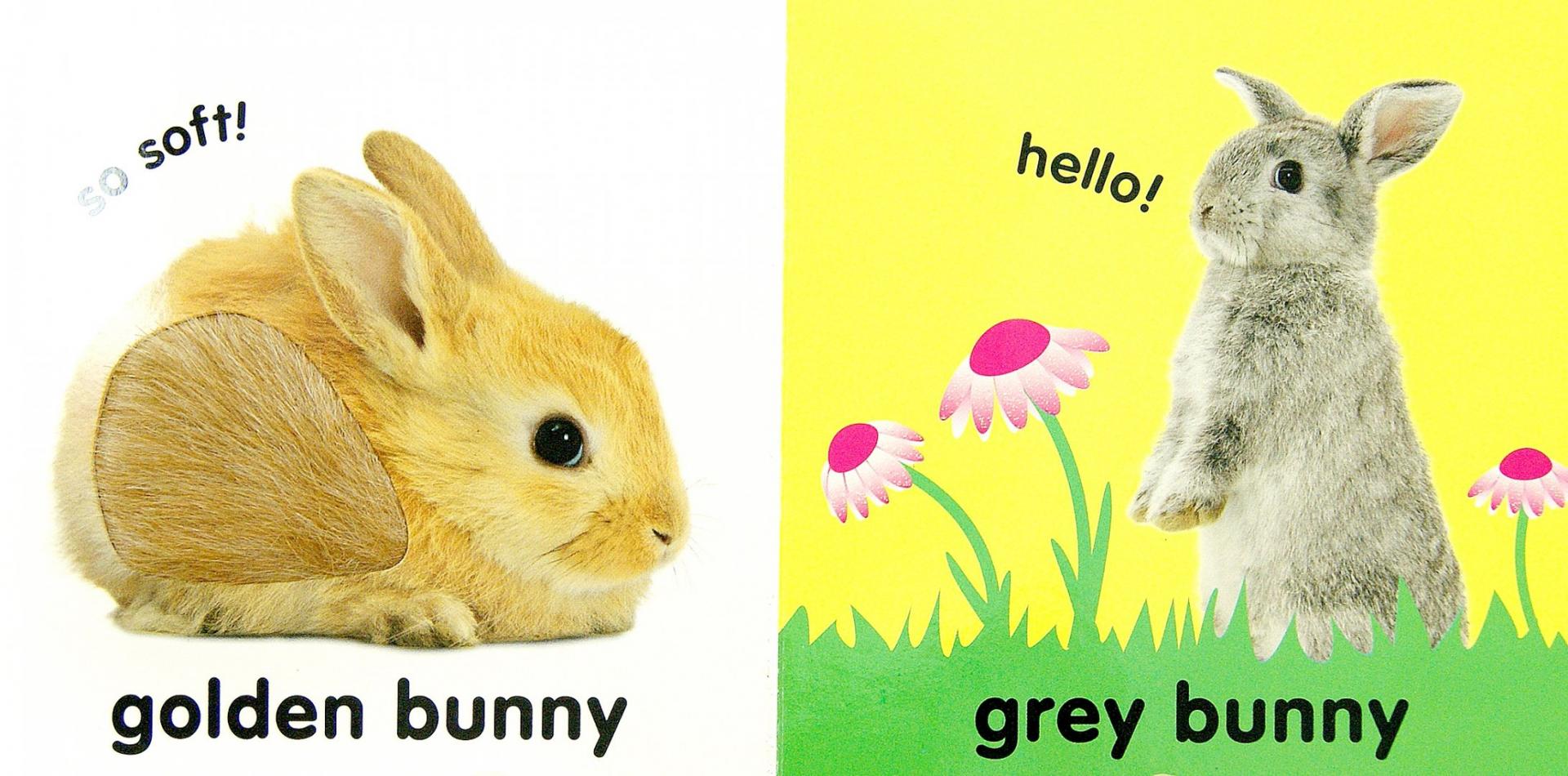 Иллюстрация 1 из 5 для Touch&Feel Bunny (Board Book) - Dawn Sirett | Лабиринт - книги. Источник: Лабиринт