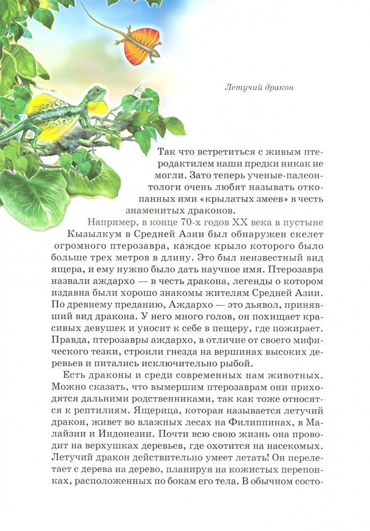 Иллюстрация 1 из 28 для Драконы и легенды - Юлия Дунаева | Лабиринт - книги. Источник: Лабиринт