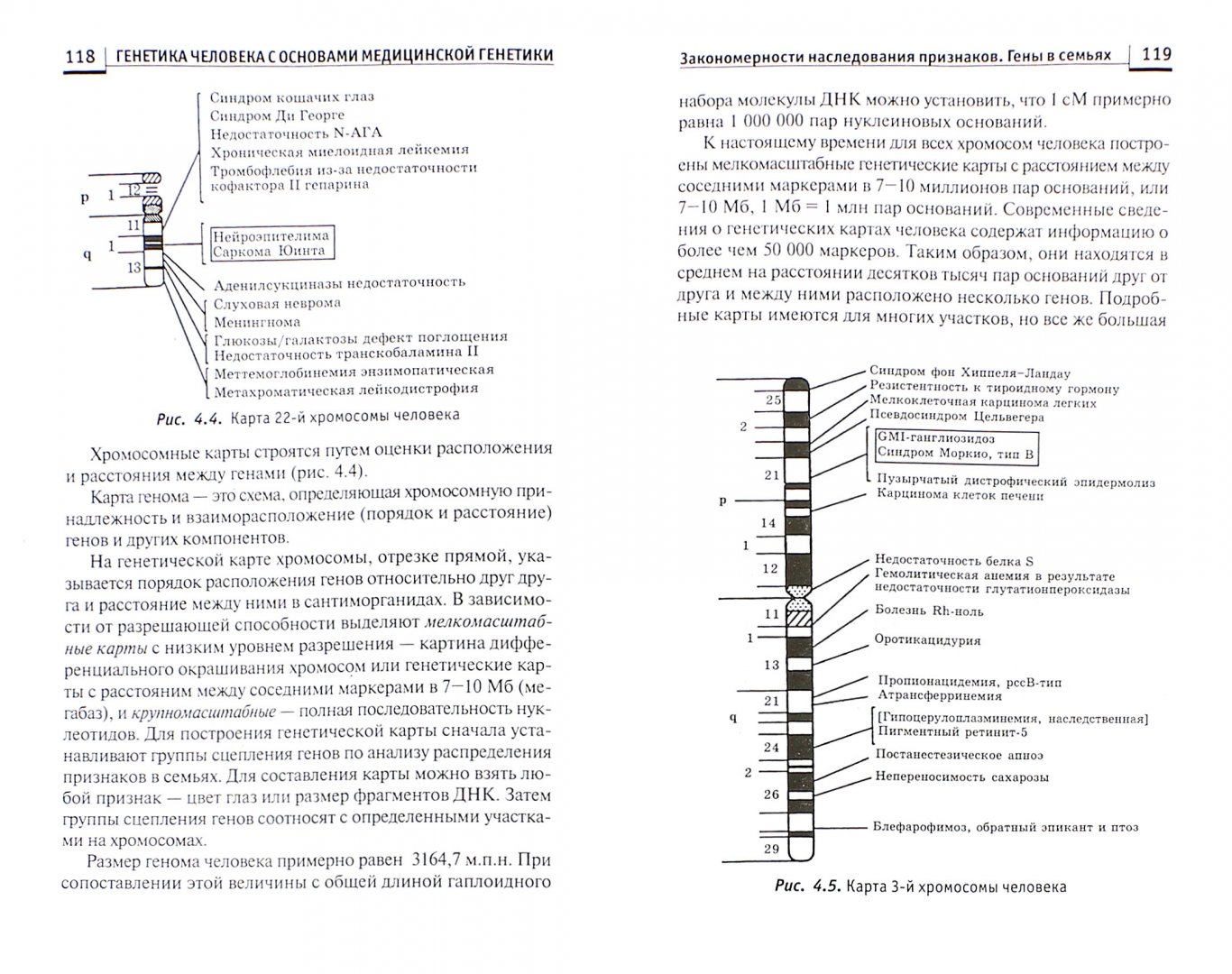 Иллюстрация 1 из 28 для Генетика человека с основами медицинской генетики. Учебник - Элеонора Рубан | Лабиринт - книги. Источник: Лабиринт