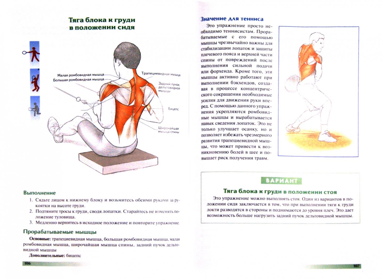 Иллюстрация 1 из 16 для Анатомия тенниса - Роутер, Ковач | Лабиринт - книги. Источник: Лабиринт