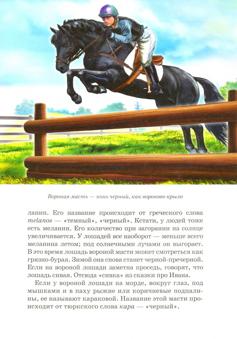 Читать про лошадей
