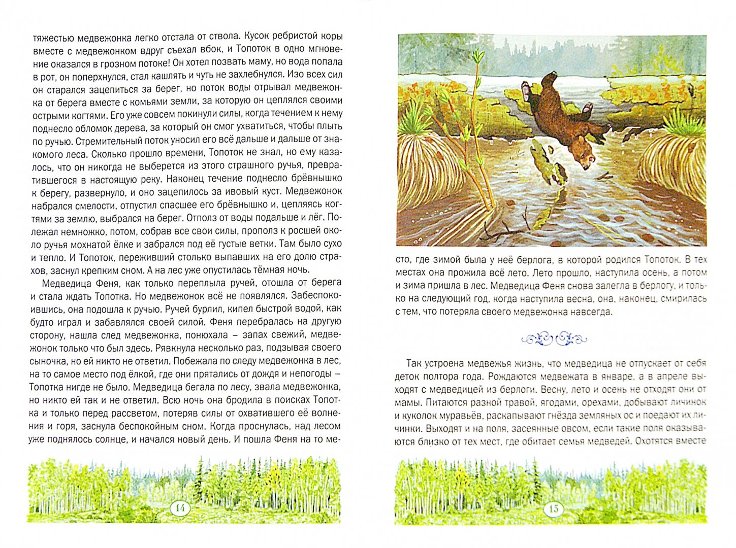 Иллюстрация 1 из 16 для Медвежонок Топоток - Валентин Пажетнов | Лабиринт - книги. Источник: Лабиринт