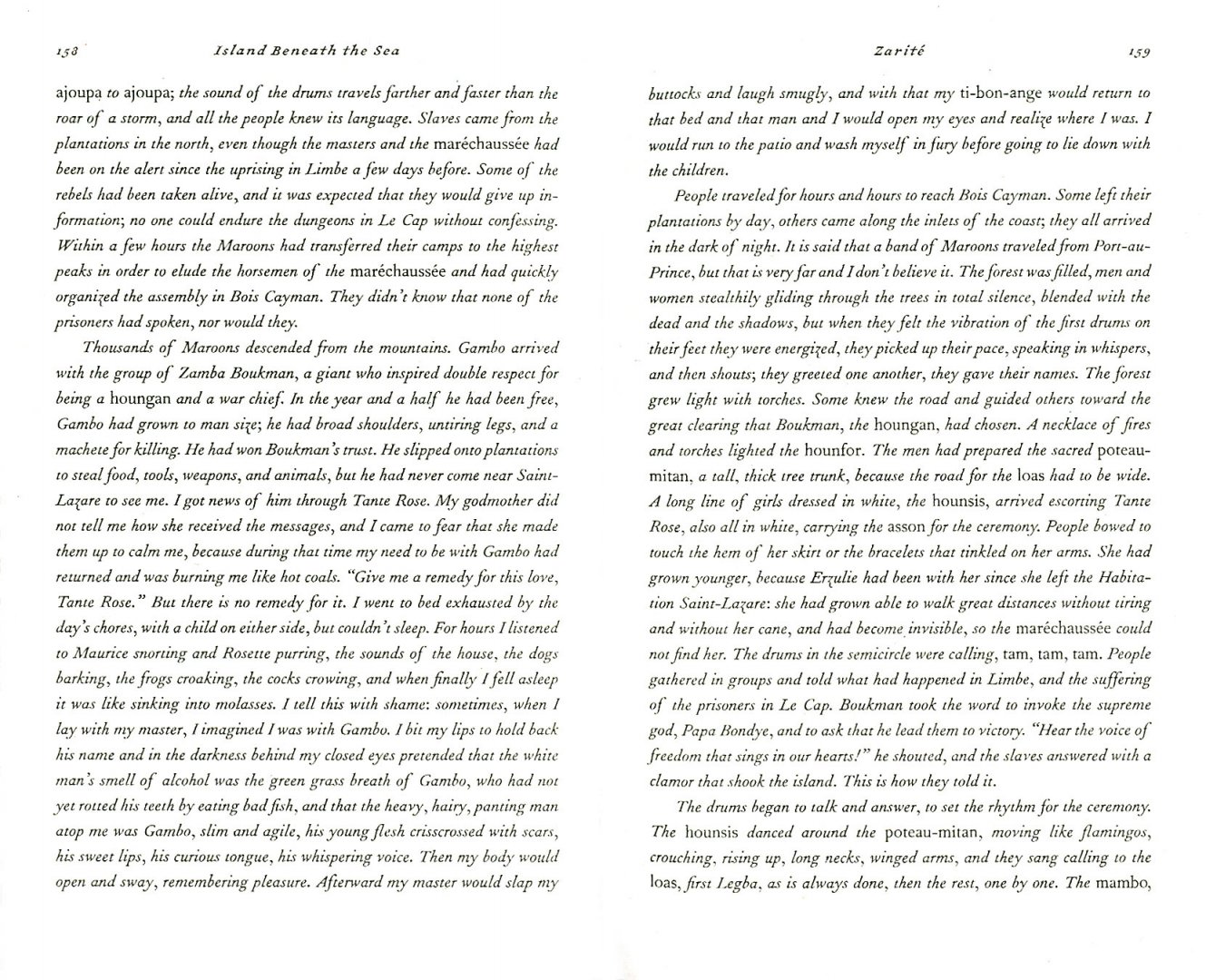 Иллюстрация 1 из 7 для Island Beneath the Sea - Isabel Allende | Лабиринт - книги. Источник: Лабиринт