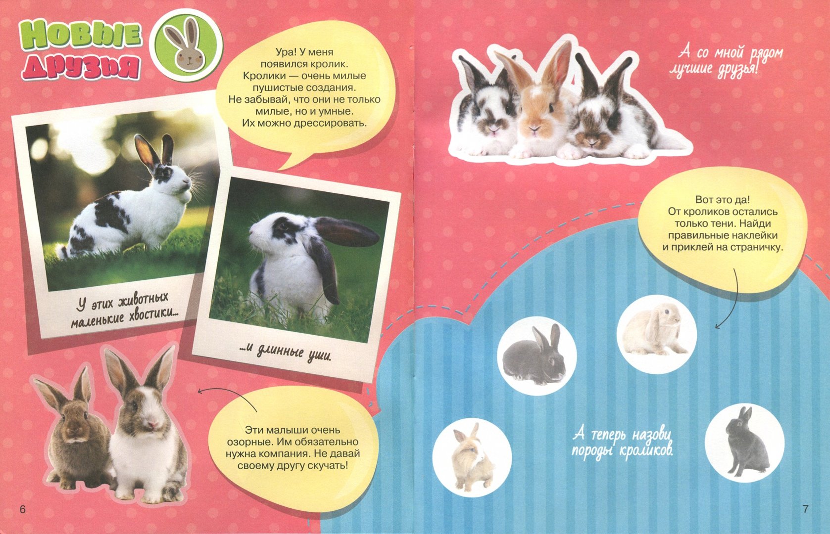 Иллюстрация 1 из 12 для Мой любимый кролик + наклейки внутри | Лабиринт - книги. Источник: Лабиринт