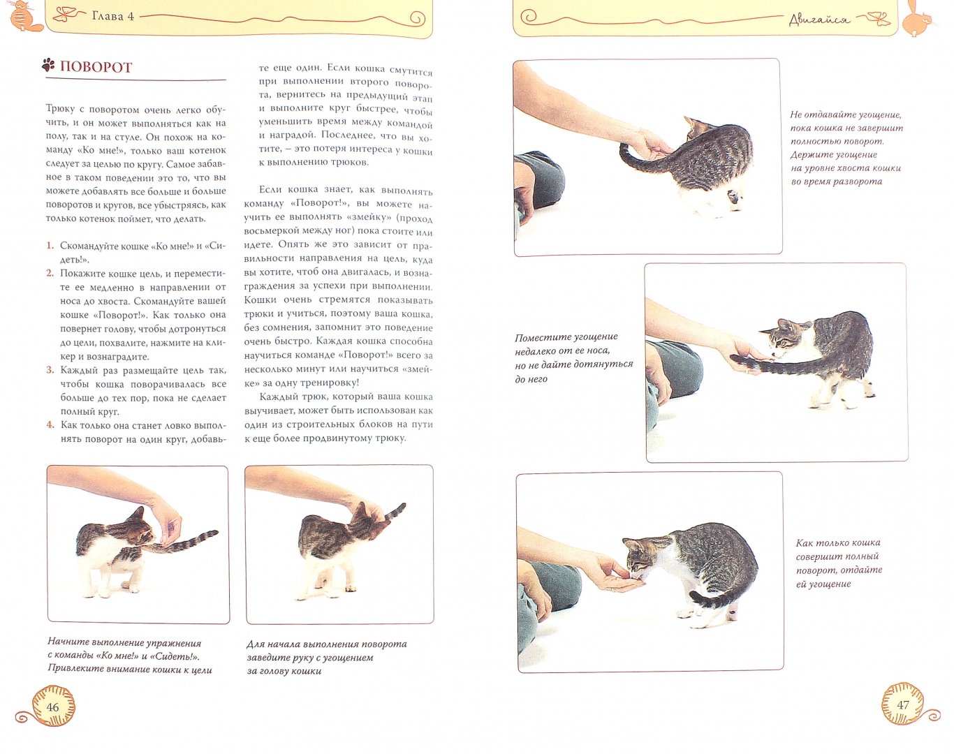 Иллюстрация 1 из 32 для Дрессируем кошку за 10 минут - Мириам Филдс-Бабино | Лабиринт - книги. Источник: Лабиринт