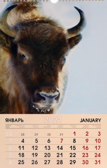 Новый Календарь На 21 Год Новый Календарь На 21 Год