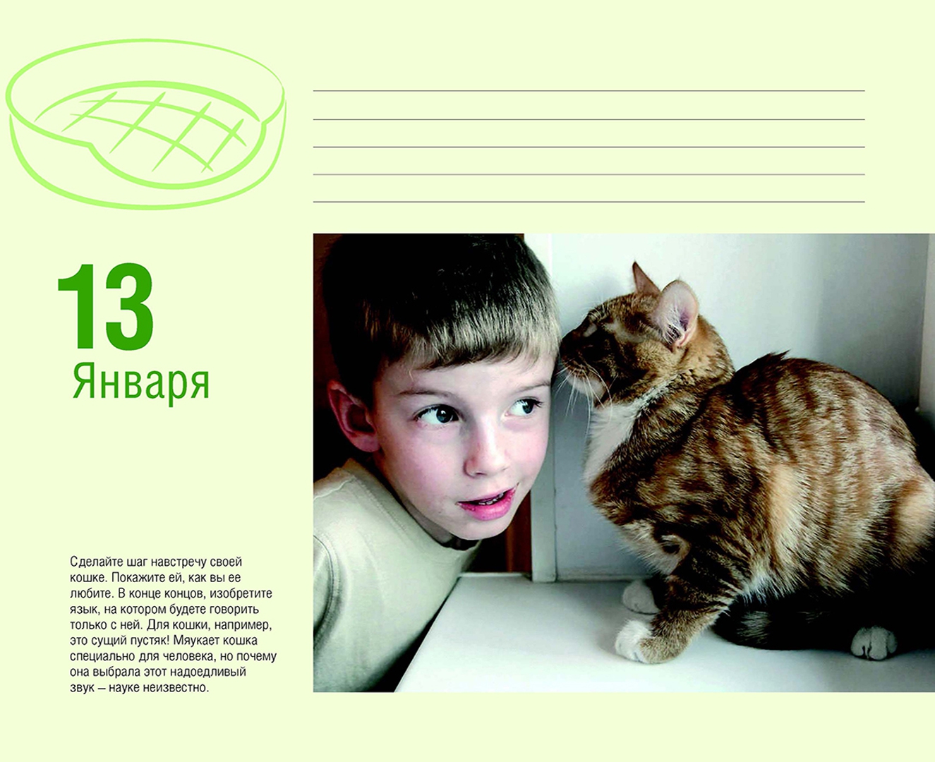 Иллюстрация 17 из 43 для Календарь "Котики. Лучшие кото-фото. 365 дней в году", универсальный - Евгения Гюнтер | Лабиринт - сувениры. Источник: Лабиринт