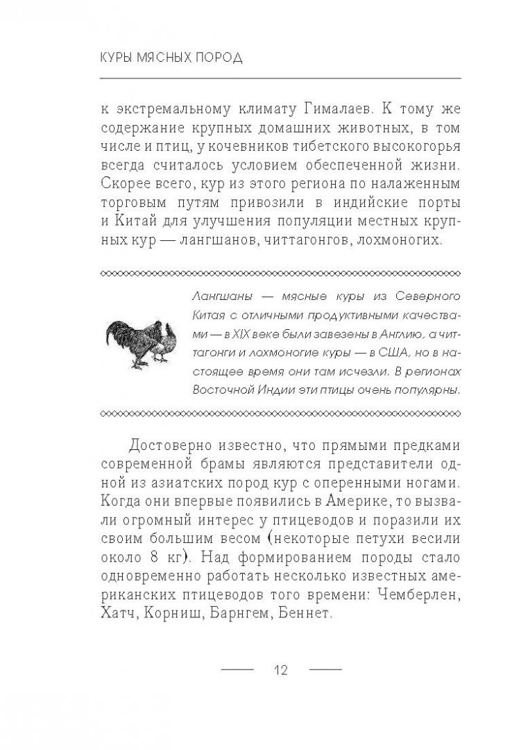 Иллюстрация 9 из 16 для Куры мясных пород - Иван Балашов | Лабиринт - книги. Источник: Лабиринт