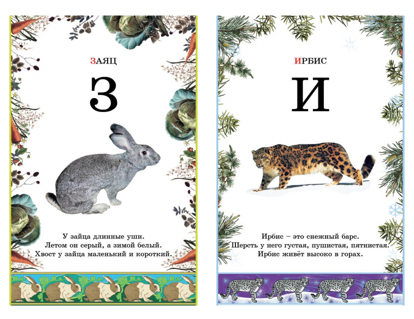 Иллюстрация 4 из 34 для Иллюстрированная азбука животного мира | Лабиринт - книги. Источник: Лабиринт