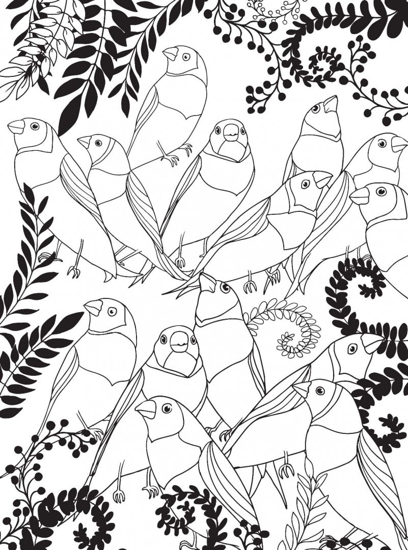 Иллюстрация 7 из 23 для Райские птицы. Раскраска-антистресс для творчества и вдохновения | Лабиринт - книги. Источник: Лабиринт
