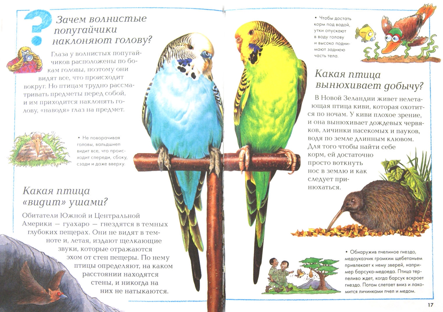 Иллюстрация 1 из 15 для Удивительные птицы планеты | Лабиринт - книги. Источник: Лабиринт