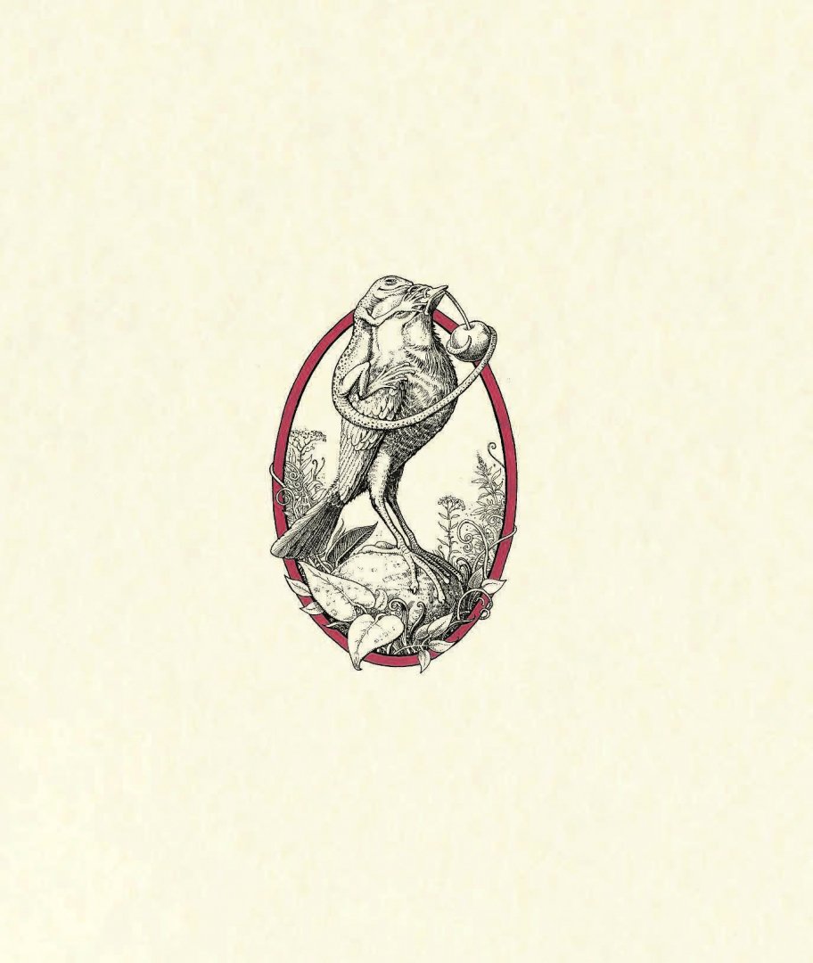 Иллюстрация 1 из 44 для Плутовские сказки про животных | Лабиринт - книги. Источник: Лабиринт