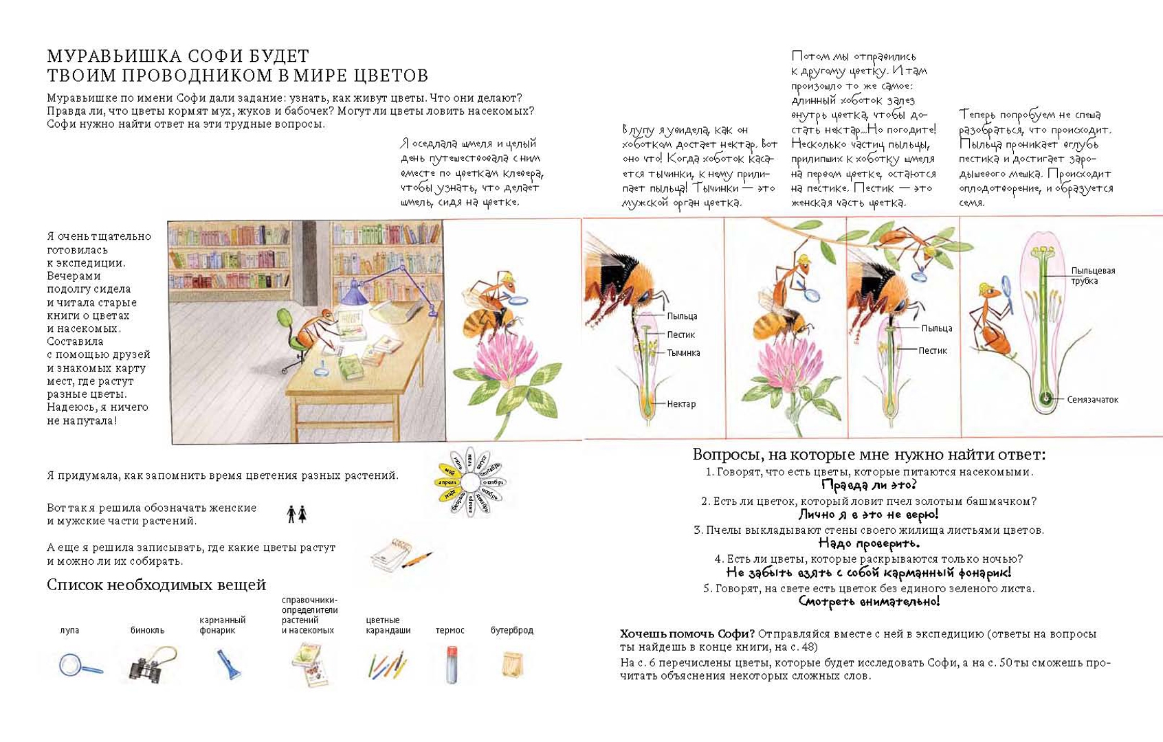 Иллюстрация 21 из 54 для Софи в мире цветов - Стефан Каста | Лабиринт - книги. Источник: Лабиринт