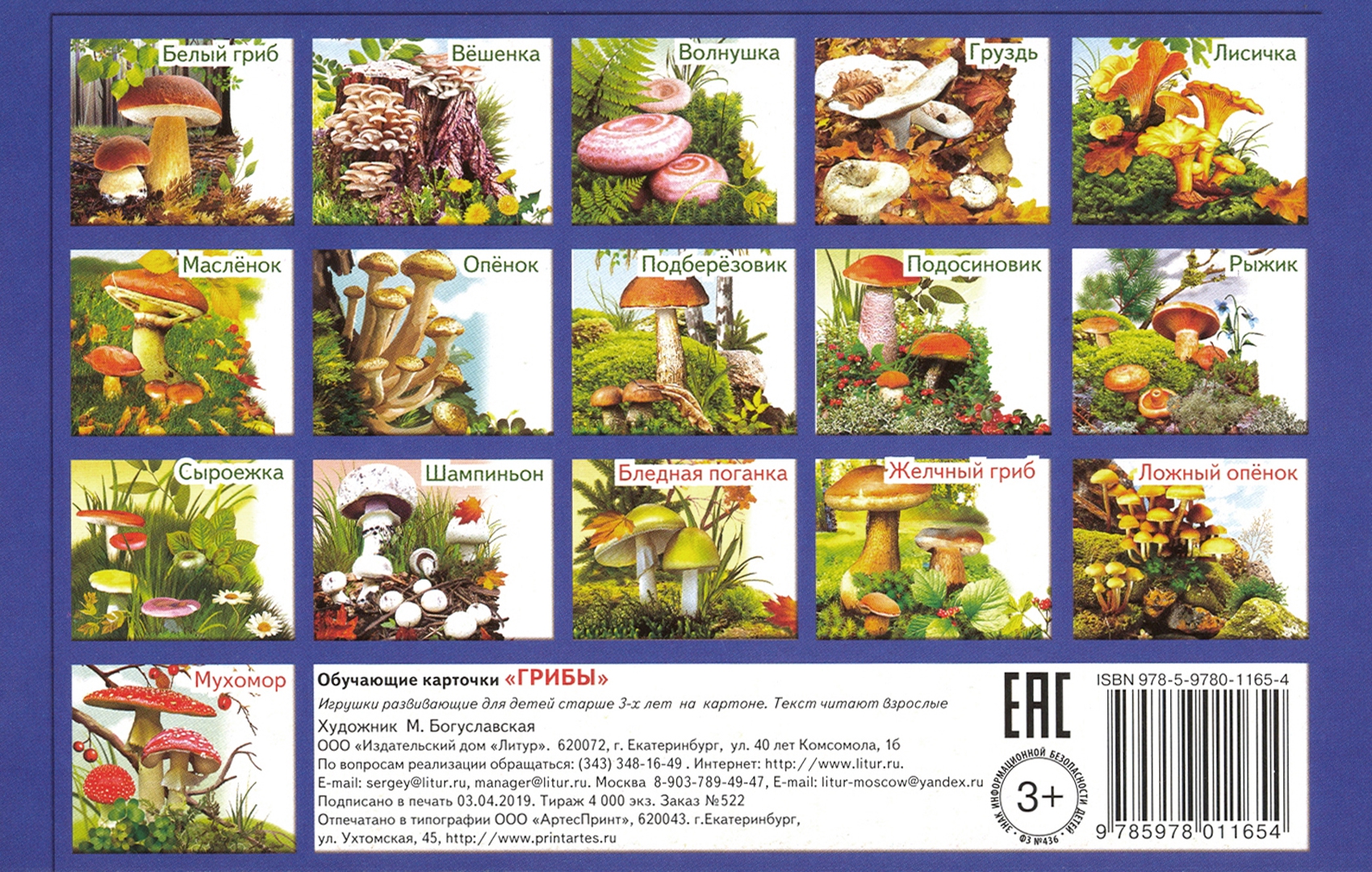 Карточки грибы