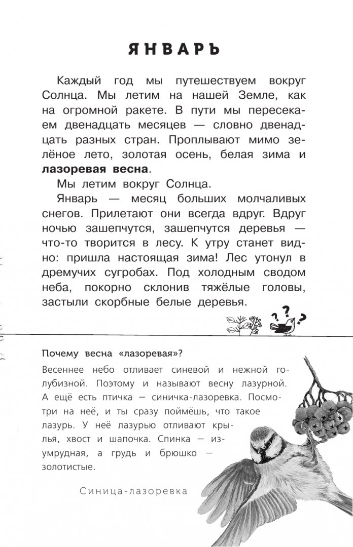 Иллюстрация 4 из 24 для Лесные тайнички - Николай Сладков | Лабиринт - книги. Источник: Лабиринт
