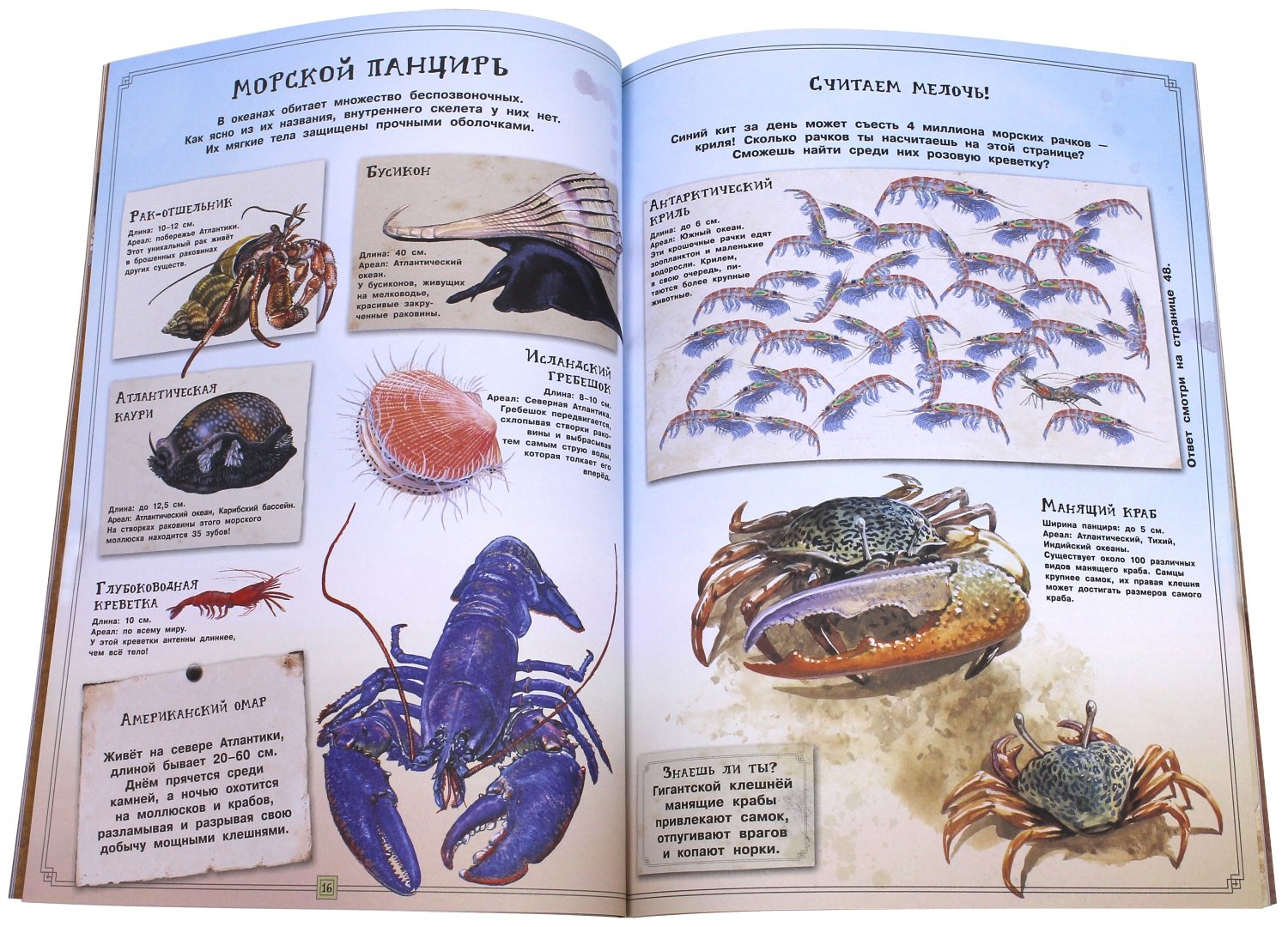 Иллюстрация 2 из 28 для Занимательная зоология. Жизнь океанов - Полли Чизман | Лабиринт - книги. Источник: Лабиринт