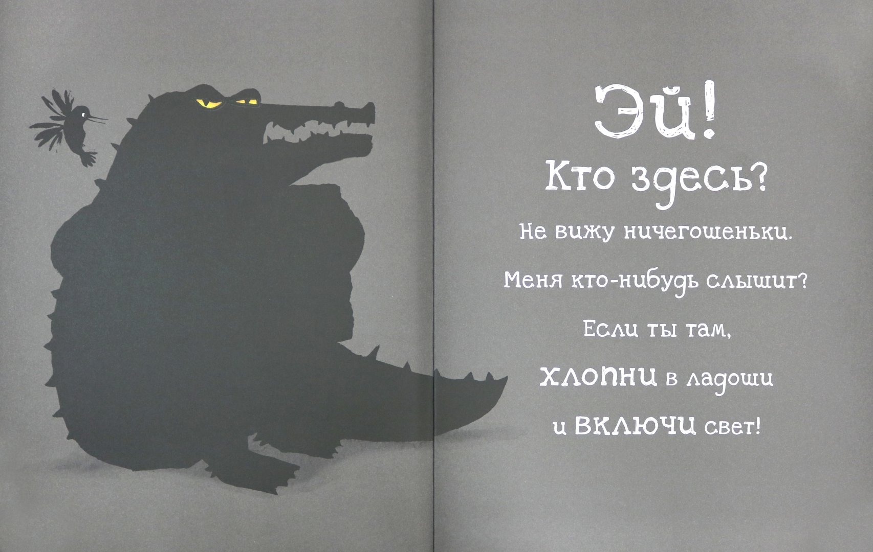 Иллюстрация 2 из 59 для Крокодил, уходи! - Никола О`Бирн | Лабиринт - книги. Источник: Лабиринт