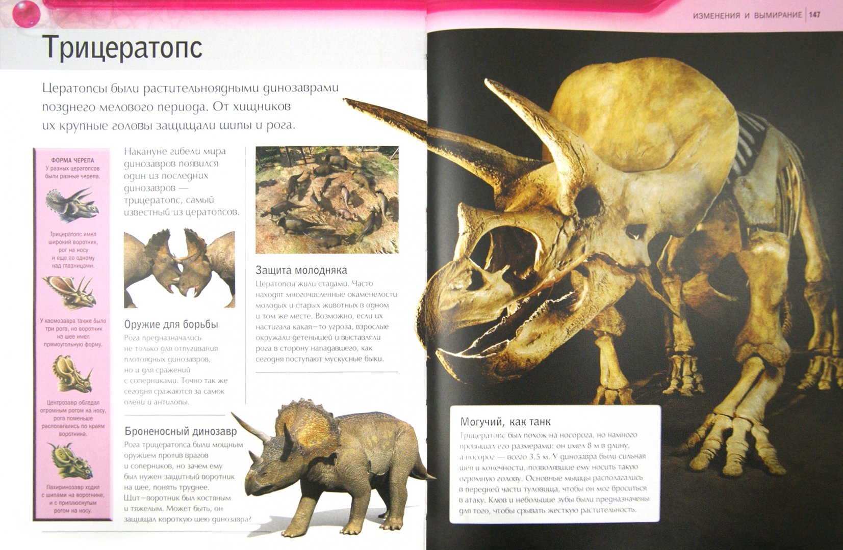 Иллюстрация 1 из 26 для Динозавры - Майк Бентон | Лабиринт - книги. Источник: Лабиринт