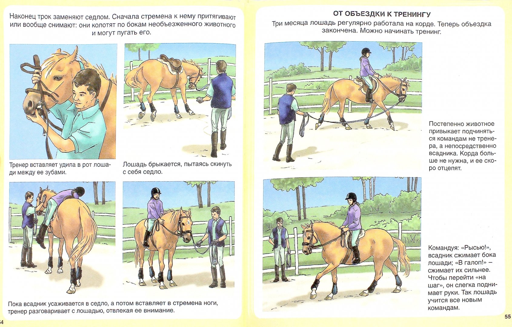Иллюстрация 1 из 11 для Пони и лошади - Эмили Бомон | Лабиринт - книги. Источник: Лабиринт