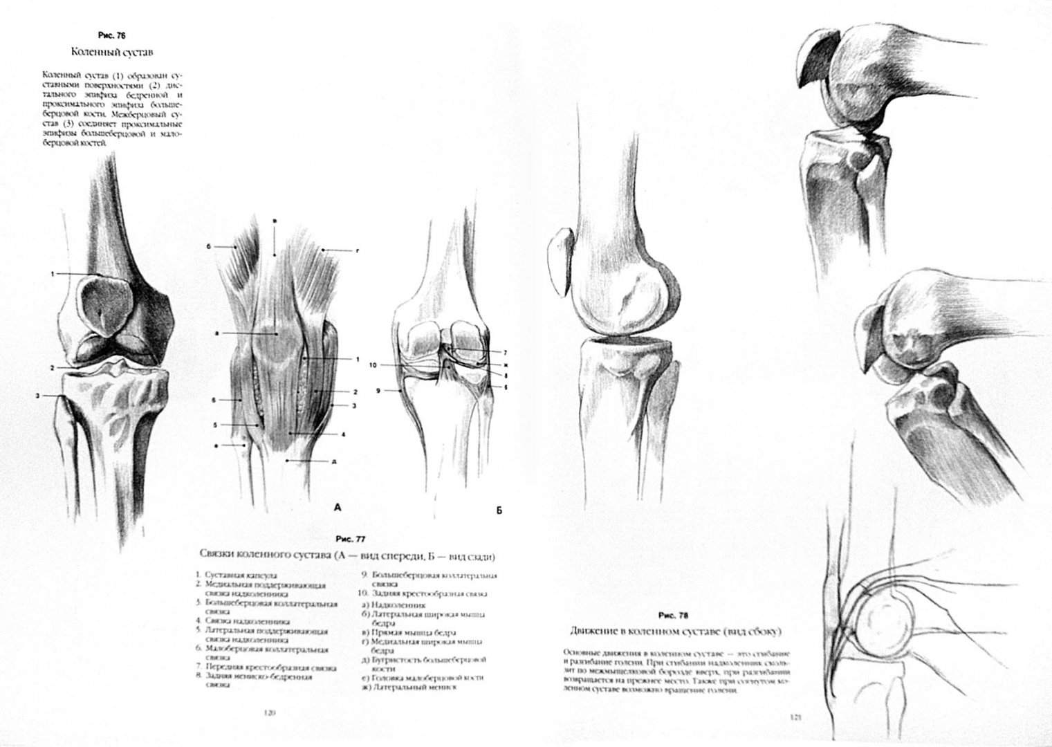 Иллюстрация 1 из 8 для Анатомический рисунок. Тело человека - Суньоги, Фехер | Лабиринт - книги. Источник: Лабиринт
