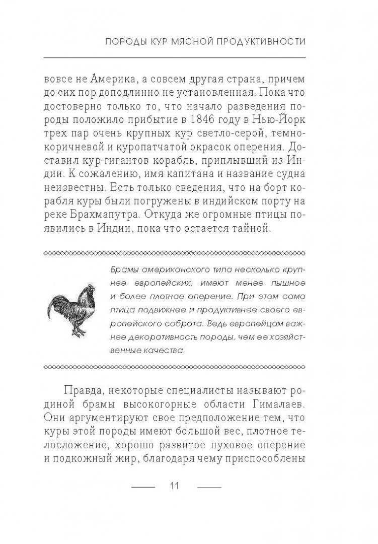 Иллюстрация 8 из 16 для Куры мясных пород - Иван Балашов | Лабиринт - книги. Источник: Лабиринт
