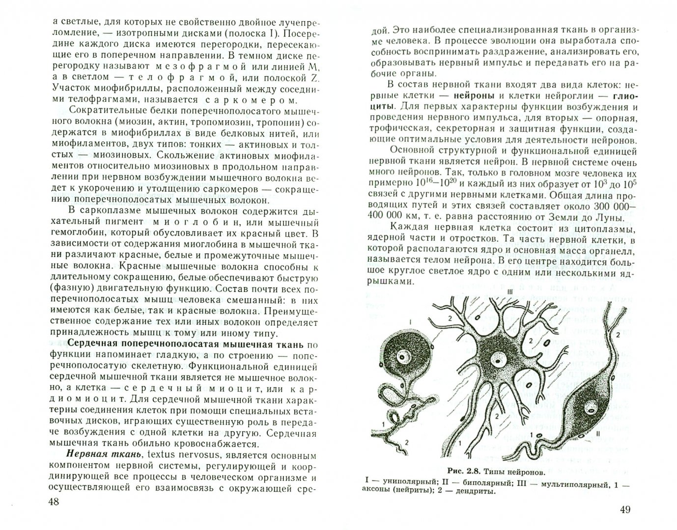 Иллюстрация 1 из 15 для Анатомия человека. Учебник для студентов - Рудольф Самусев | Лабиринт - книги. Источник: Лабиринт