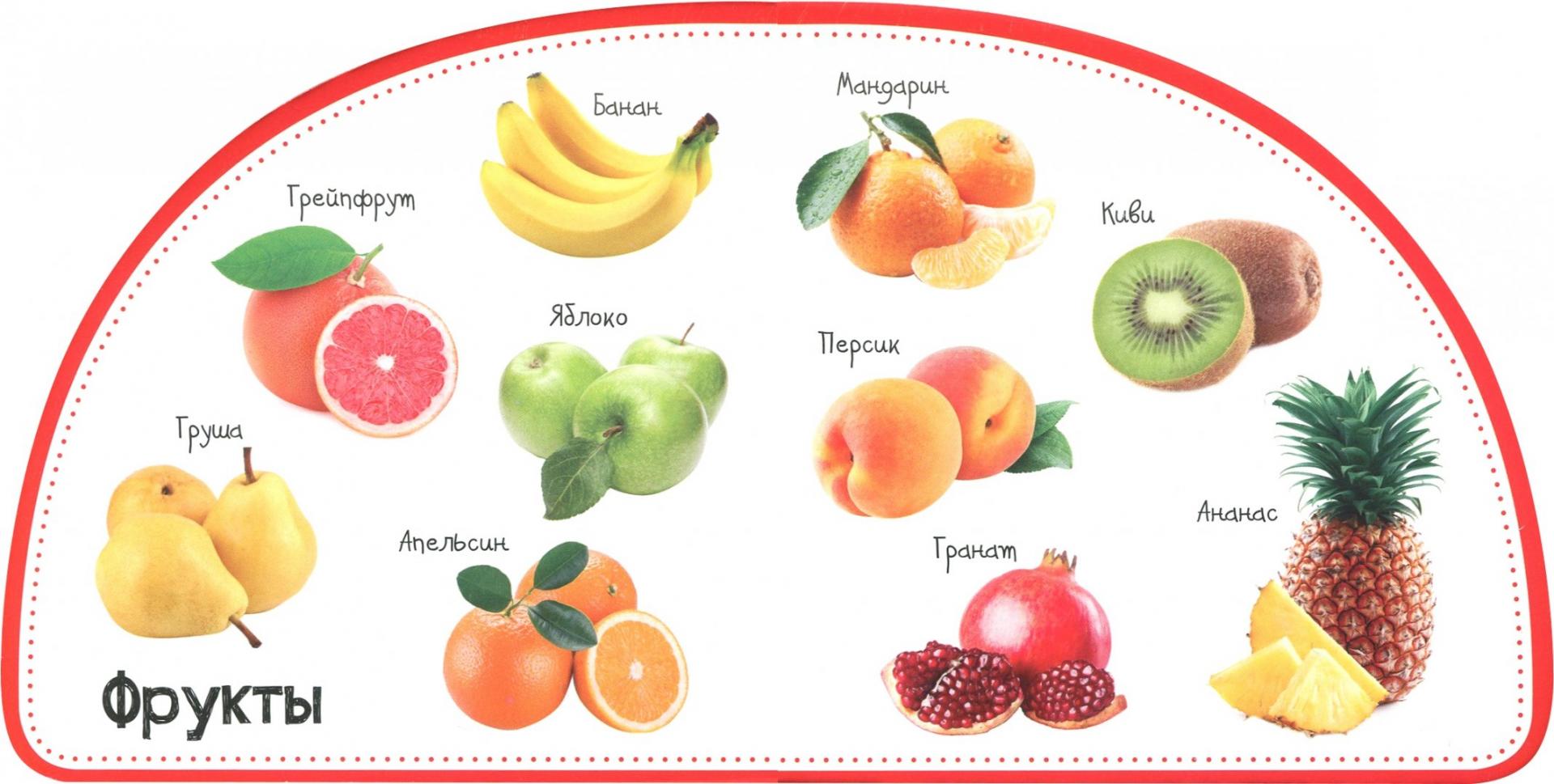 Иллюстрация 1 из 6 для Овощи и фрукты. Смотрим и запоминаем - Мария Жученко | Лабиринт - книги. Источник: Лабиринт