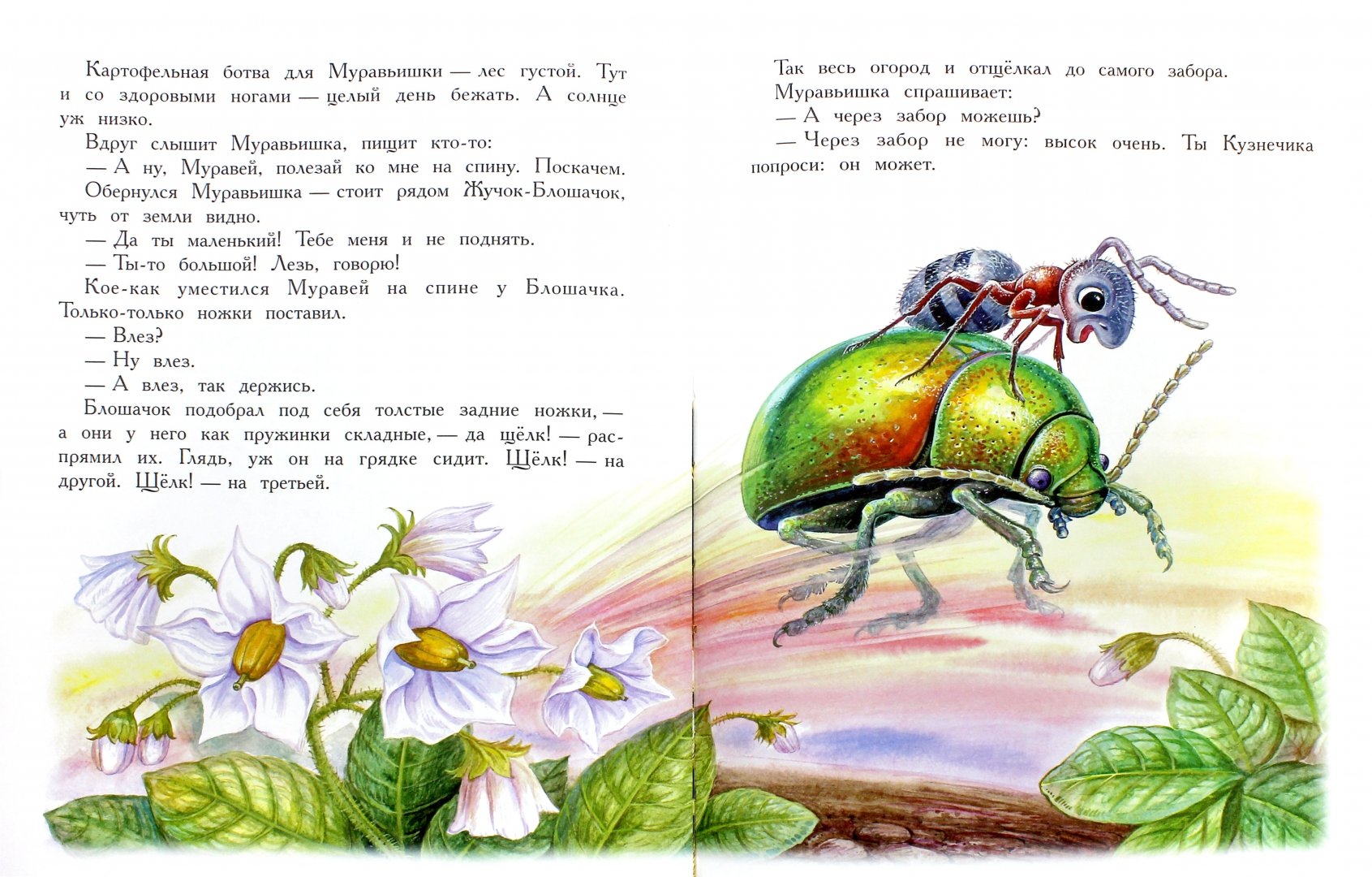 Иллюстрация 2 из 36 для Сказки для детей - Виталий Бианки | Лабиринт - книги. Источник: Лабиринт