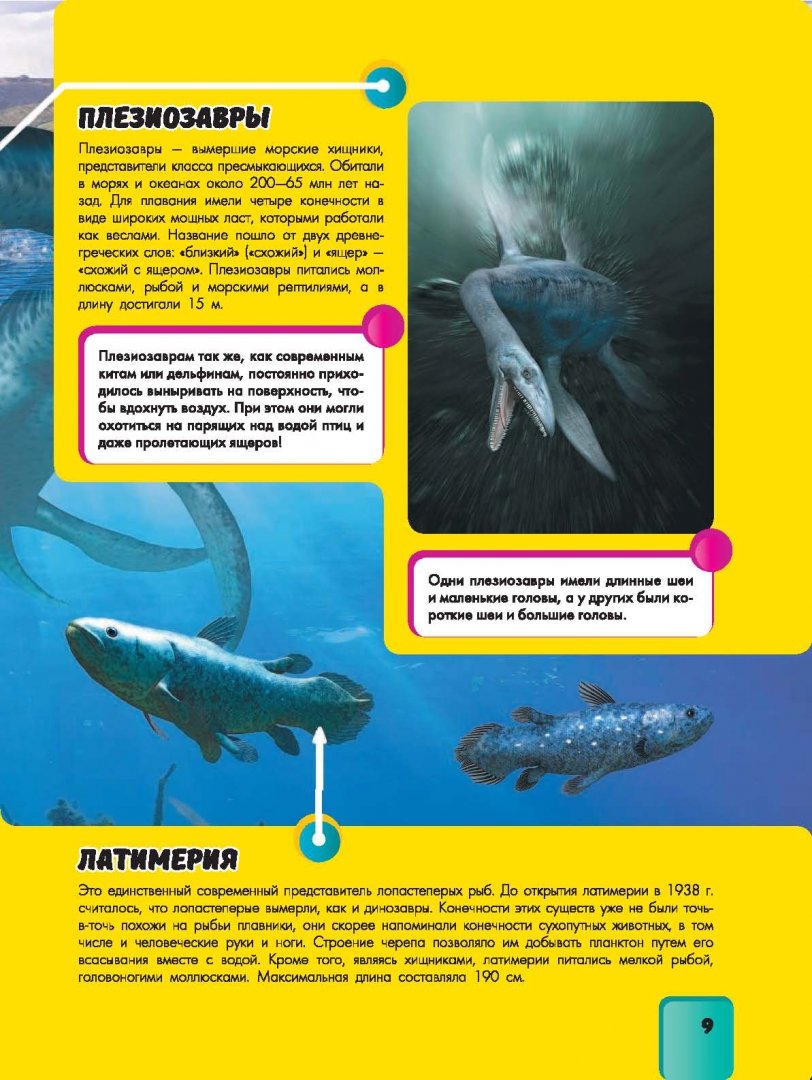 Иллюстрация 8 из 26 для Подводный мир - Ликсо, Ригарович | Лабиринт - книги. Источник: Лабиринт