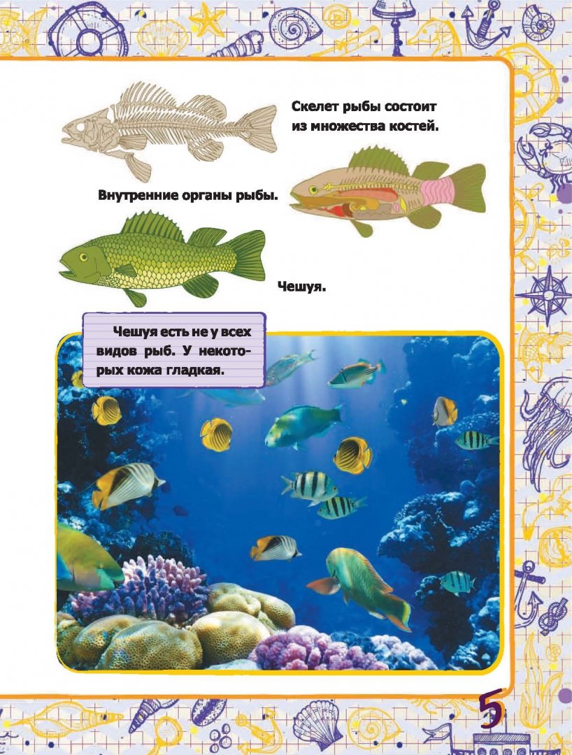 Иллюстрация 5 из 23 для Подводный мир - Дарья Ермакович | Лабиринт - книги. Источник: Лабиринт