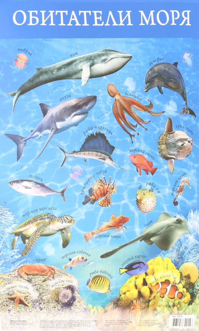 Иллюстрация 1 из 3 для Плакат "Обитатели моря" (3410) | Лабиринт - книги. Источник: Лабиринт