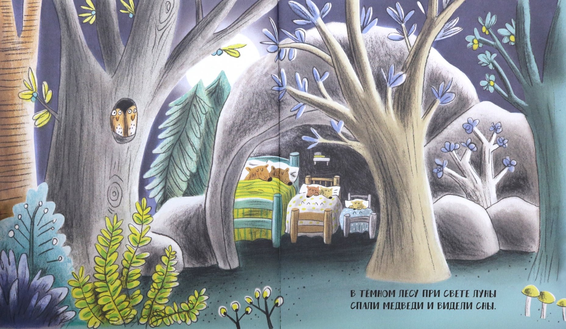Иллюстрация 1 из 35 для Ничего не боится медведь - Элизабет Дейл | Лабиринт - книги. Источник: Лабиринт