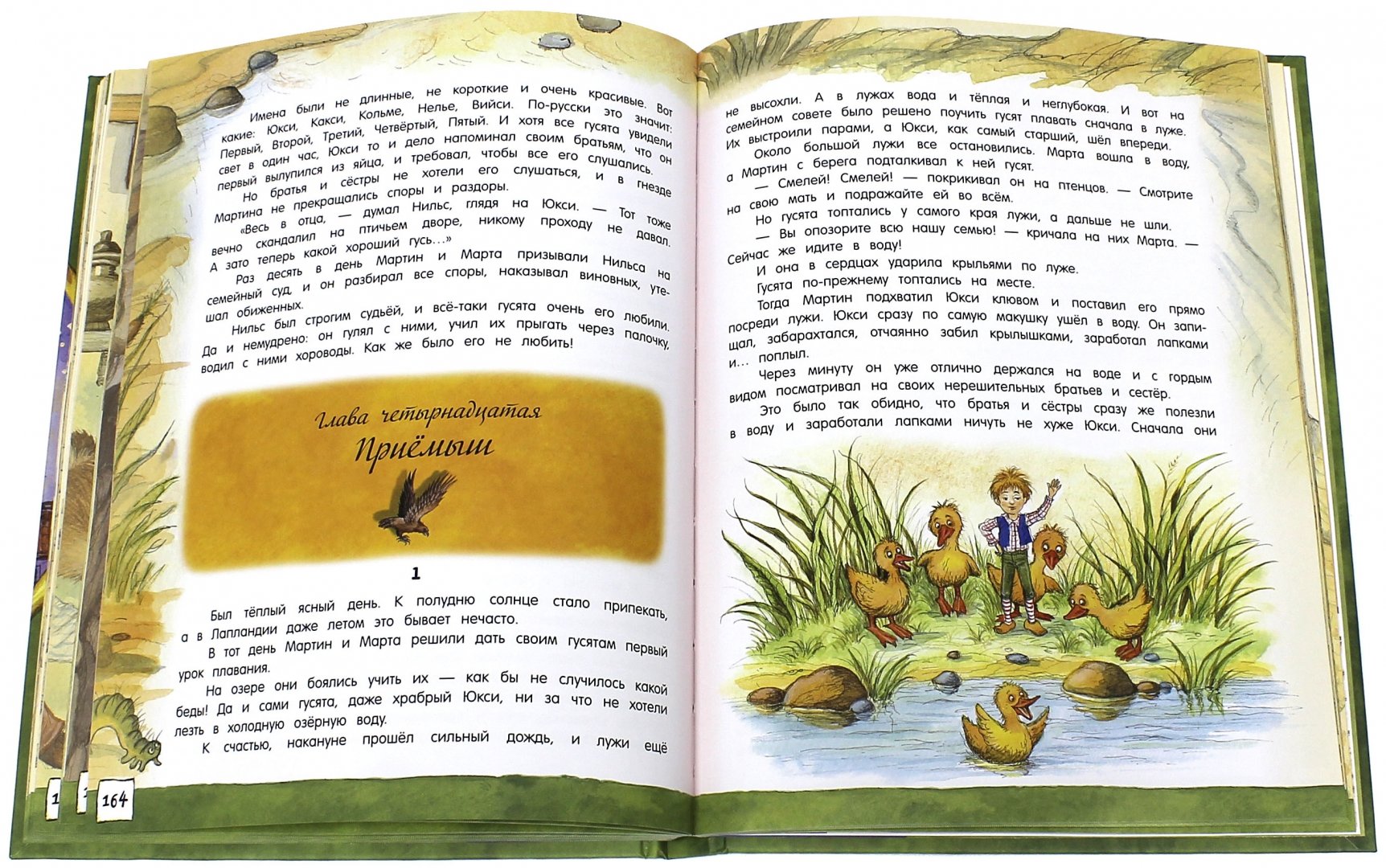 Иллюстрация 9 из 41 для Чудесное путешествие Нильса с дикими гусями - Сельма Лагерлеф | Лабиринт - книги. Источник: Лабиринт