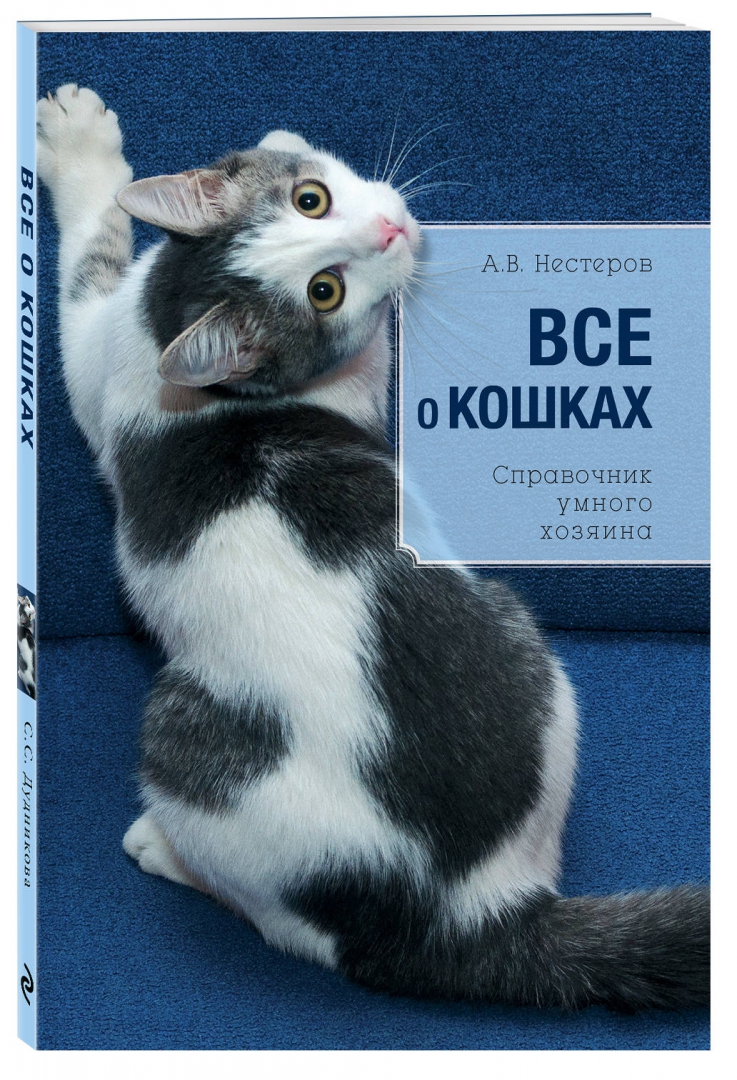 Иллюстрация 1 из 18 для Все о кошках - Светлана Дудникова | Лабиринт - книги. Источник: Лабиринт
