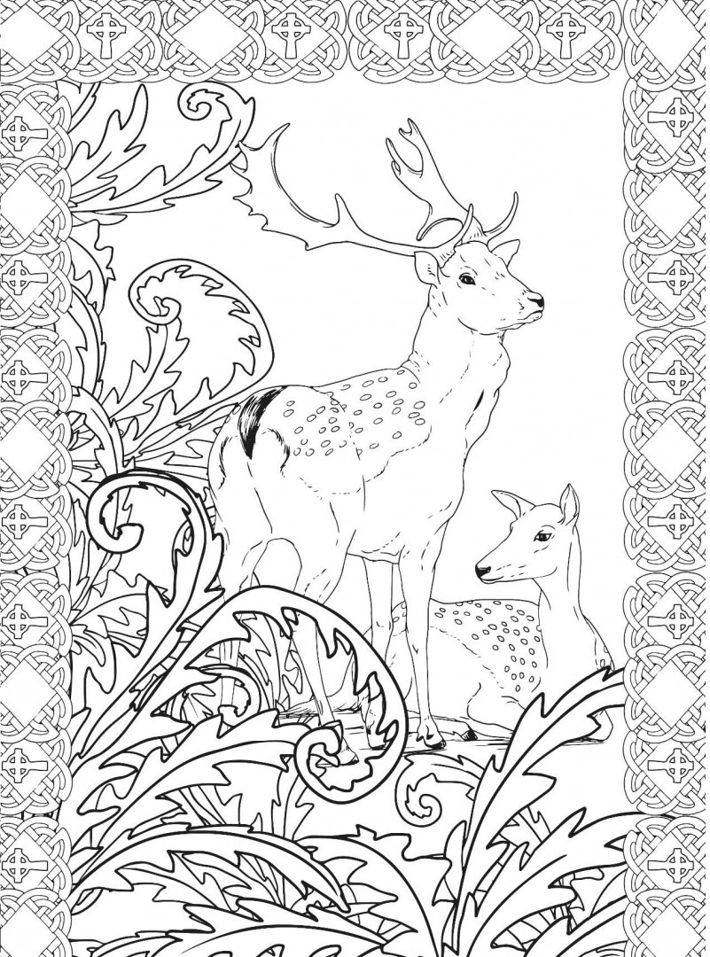 Иллюстрация 6 из 31 для Заколдованный лес. Раскраска-антистресс для творчества и вдохновения | Лабиринт - книги. Источник: Лабиринт