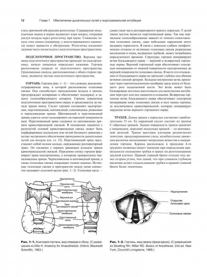 Иллюстрация 11 из 13 для Процедуры и техники в неотложной медицине - Ирвин, Риппе, Керли | Лабиринт - книги. Источник: Лабиринт