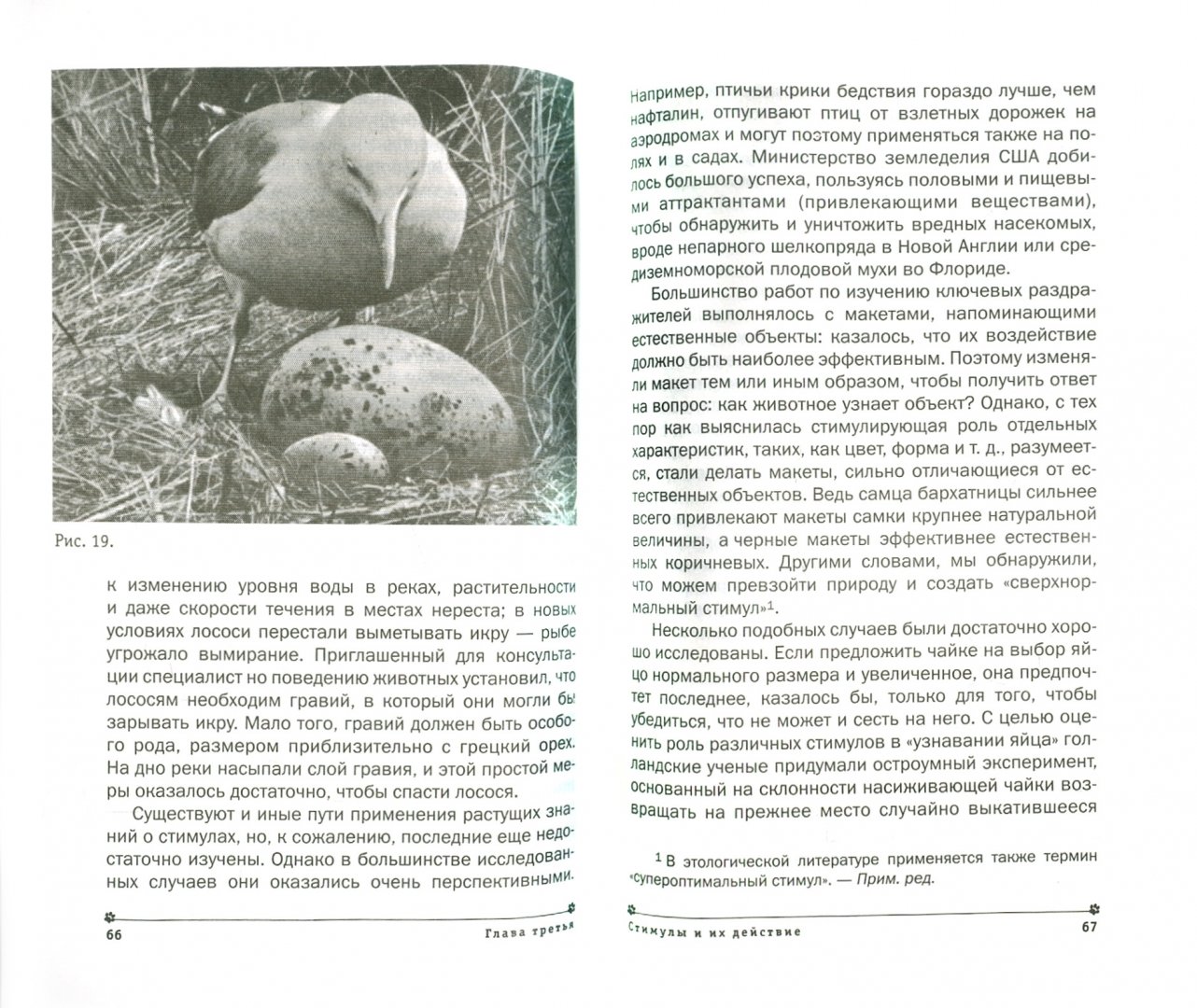 Иллюстрация 1 из 26 для Поведение животных - Нико Тинберген | Лабиринт - книги. Источник: Лабиринт