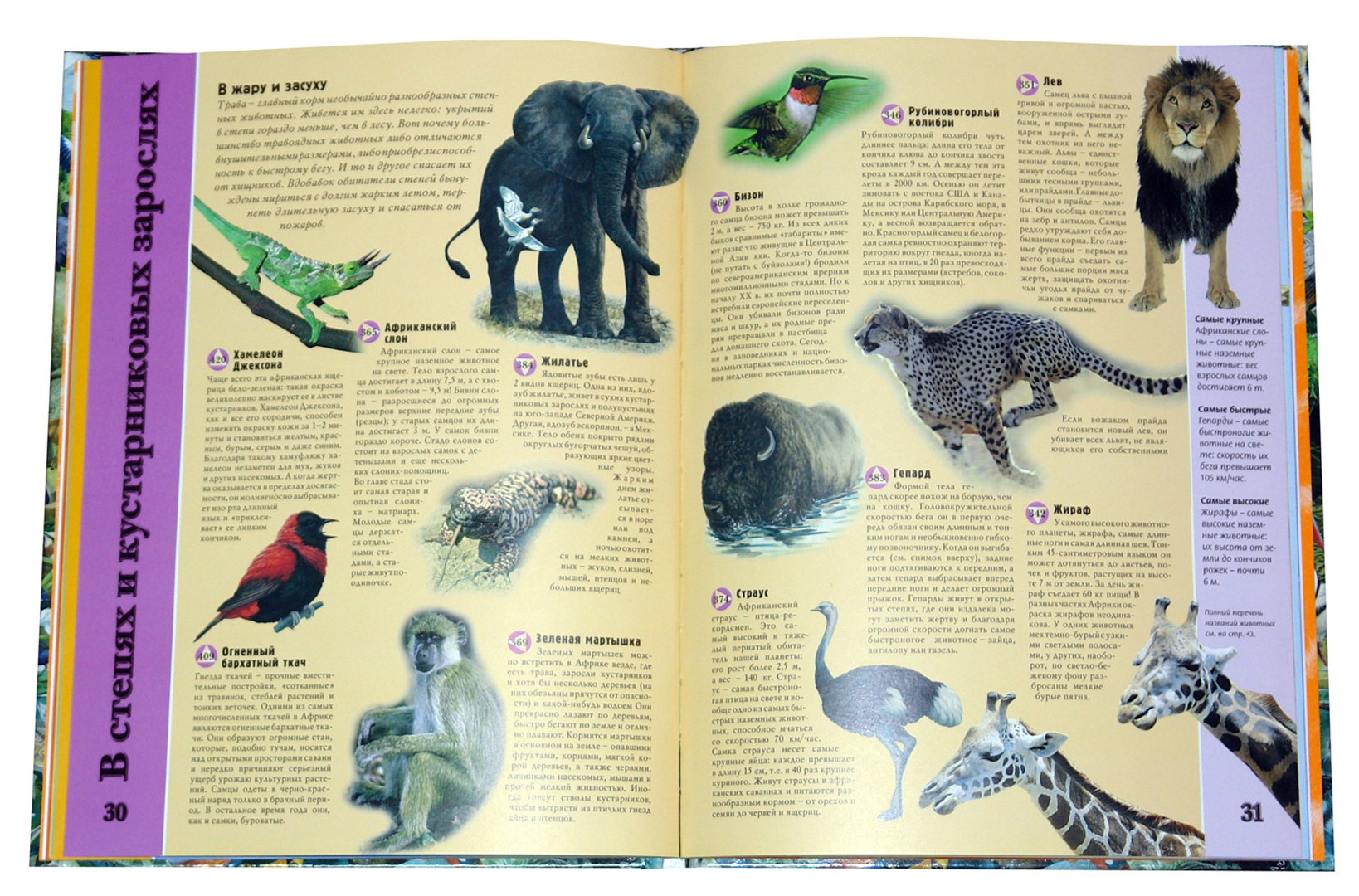 Иллюстрация 2 из 18 для Планета животных - Стив Паркер | Лабиринт - книги. Источник: Лабиринт