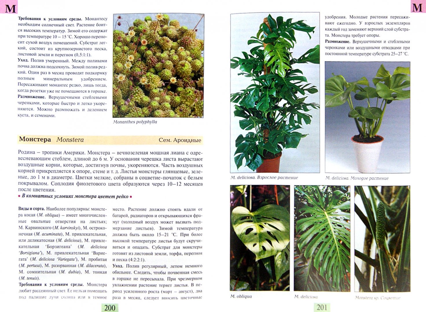 Иллюстрация 1 из 16 для Комнатные растения от А до Я - Валентин Воронцов | Лабиринт - книги. Источник: Лабиринт