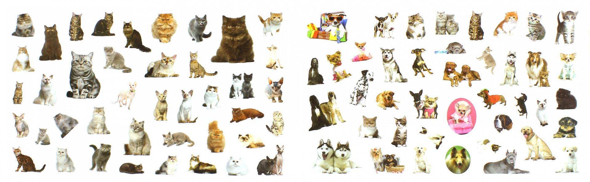Иллюстрация 1 из 21 для Любимые кошки и собаки | Лабиринт - книги. Источник: Лабиринт