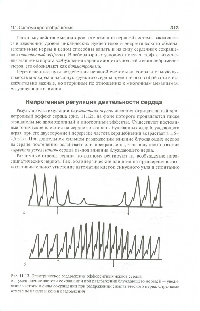 Иллюстрация 2 из 43 для Нормальная физиология. Учебник +CD - Брин, Ткаченко, Захаров, Мазинг | Лабиринт - книги. Источник: Лабиринт