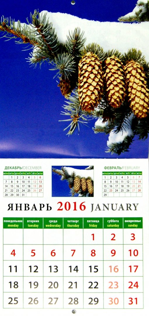 Иллюстрация 1 из 2 для Календарь настенный на 2016 год "Календарь природы" (30610) | Лабиринт - сувениры. Источник: Лабиринт