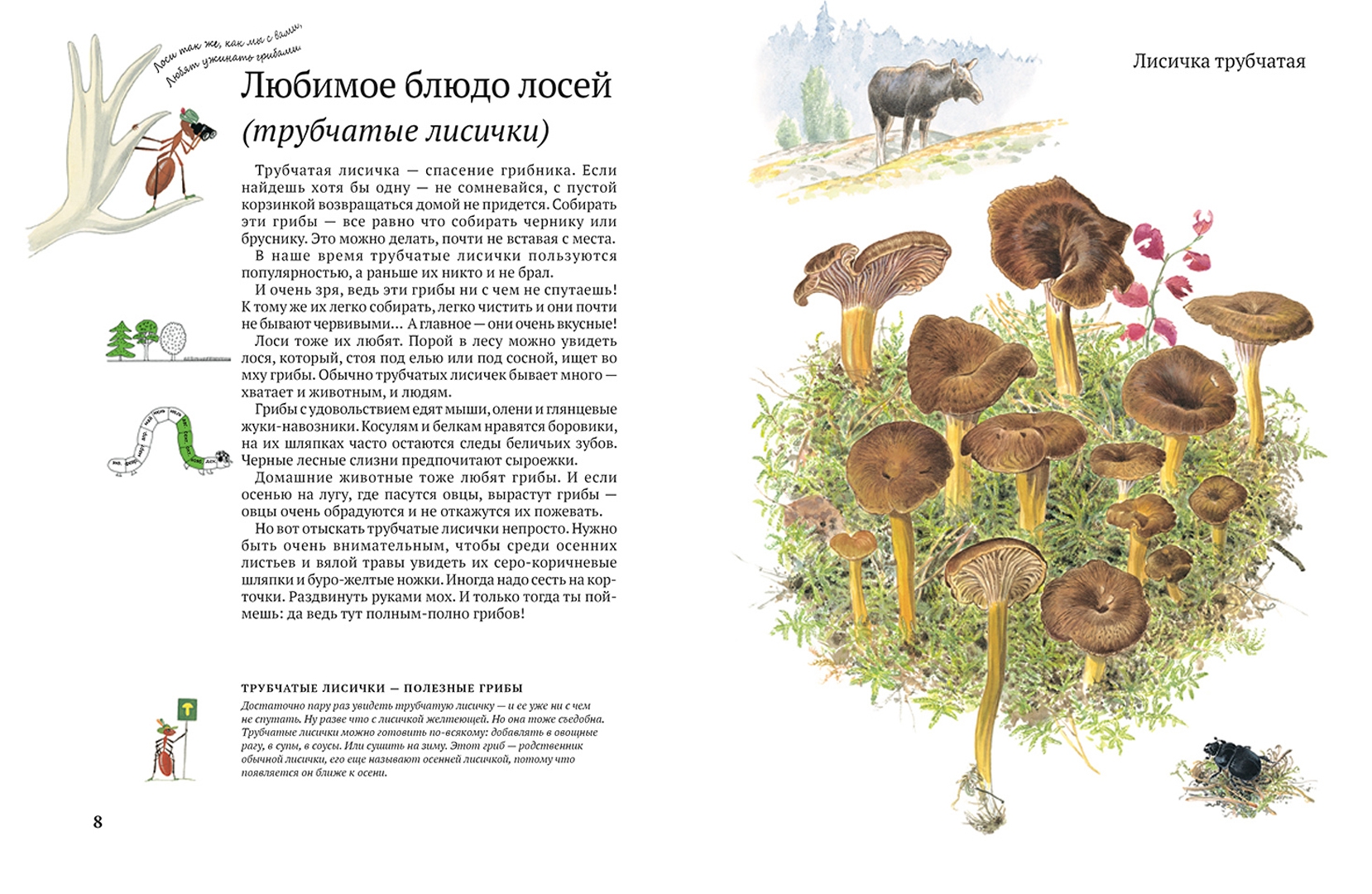 Иллюстрация 2 из 35 для Софи в мире грибов - Стефан Каста | Лабиринт - книги. Источник: Лабиринт