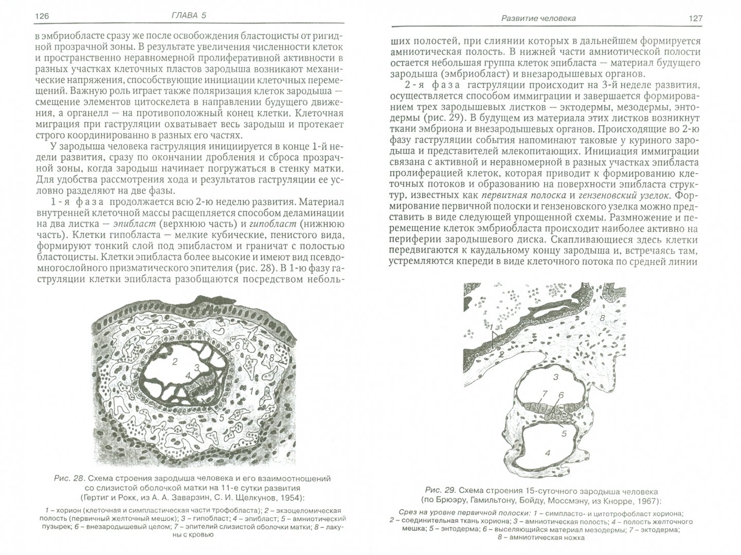 Иллюстрация 1 из 8 для Общая и медицинская эмбриология - Данилов, Боровая | Лабиринт - книги. Источник: Лабиринт